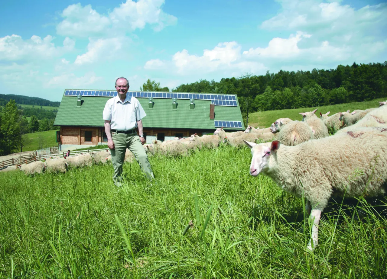 Owce w Beskidach Roman Kluska Prawdziwe Jedzenie