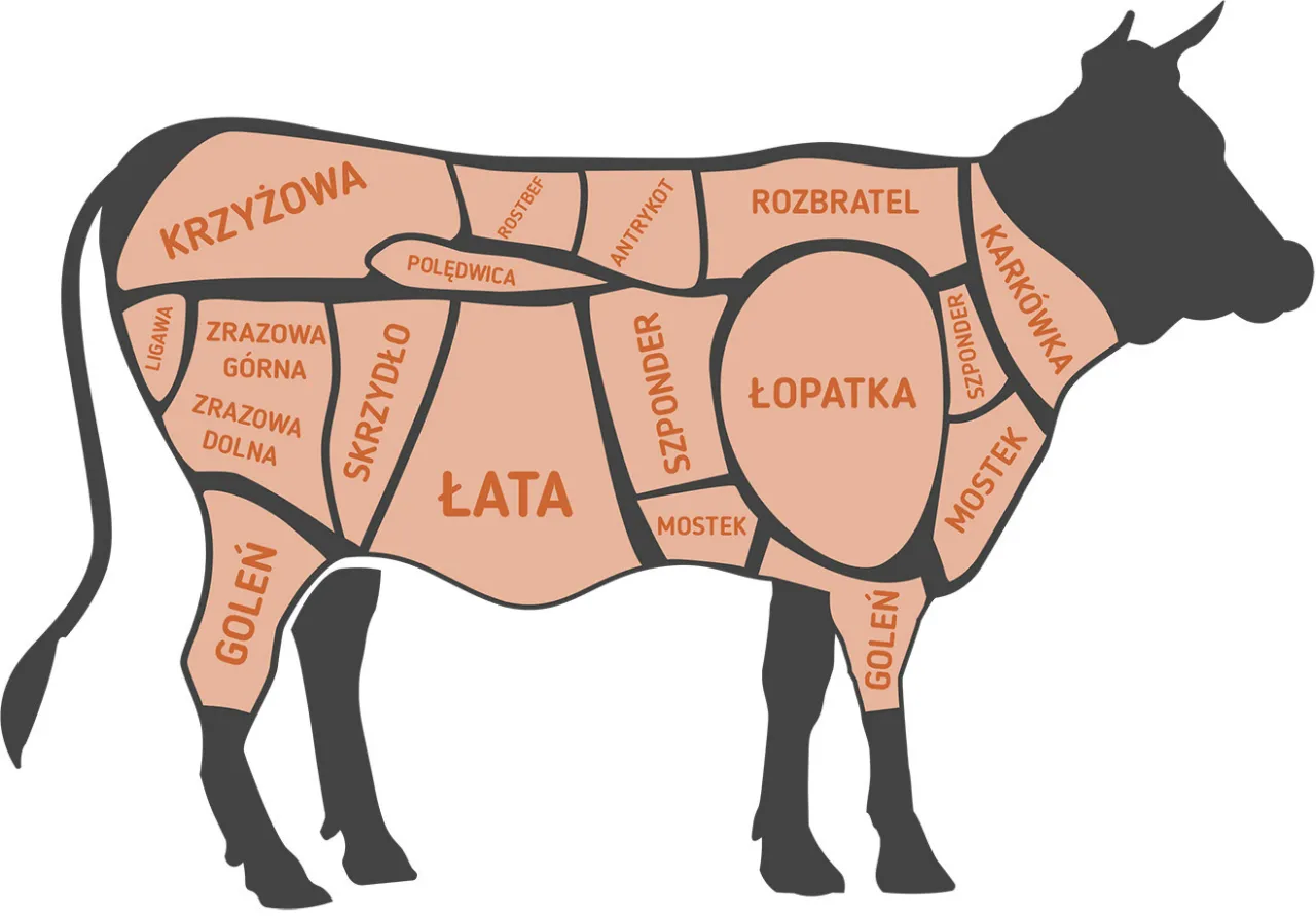 Rodzaje kawałk&oacute;w wołowiny grafika