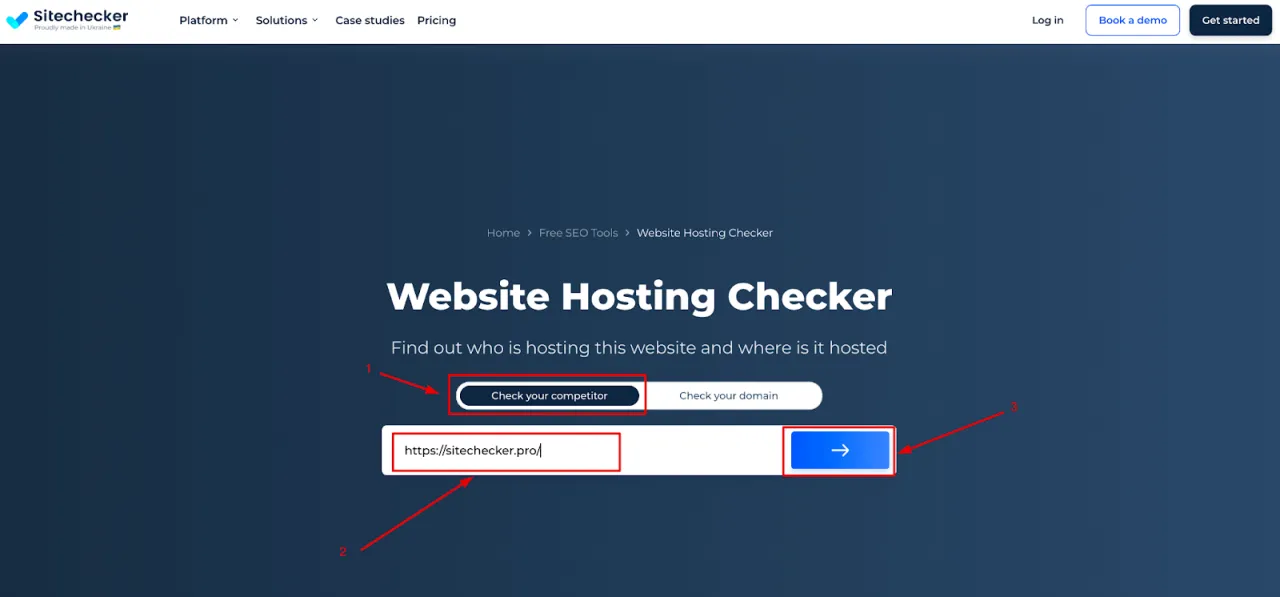 Hosting checker online tool screenshot
