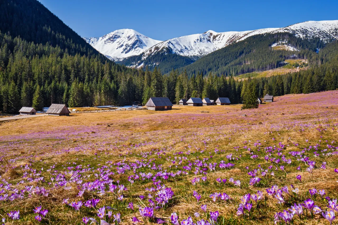 Zalipie malowane domy