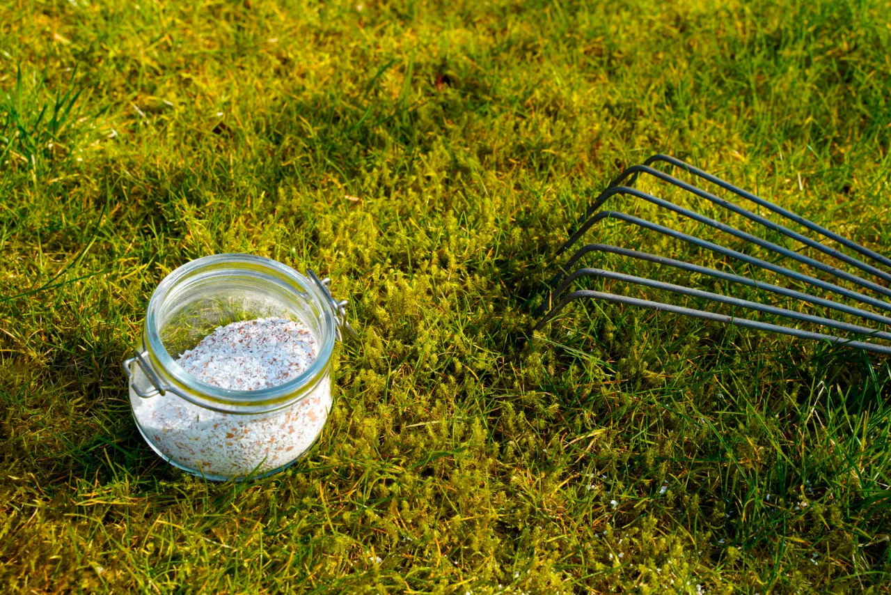 Słoik z wapnem i grabie na trawniku. Czas na zabiegi pielęgnacyjne, kiedy wapnować trawnik, by był zdrowy i zielony.