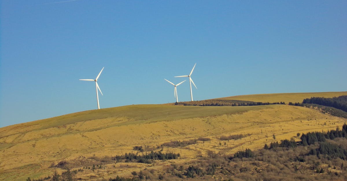  Zalety i wady elektrowni wiatrowych - co warto wiedzieć?