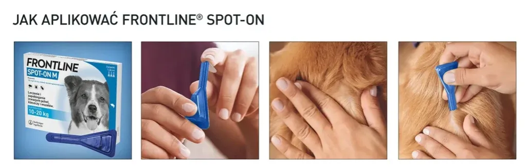 Aplikacja Frontline spot-on u psa krok po kroku
