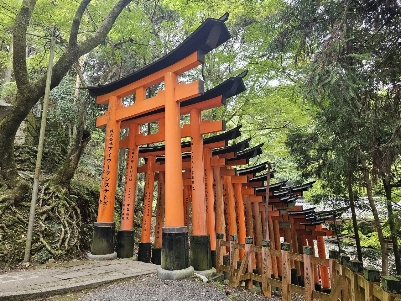 Fushimi Inari-taisha bramy torii
