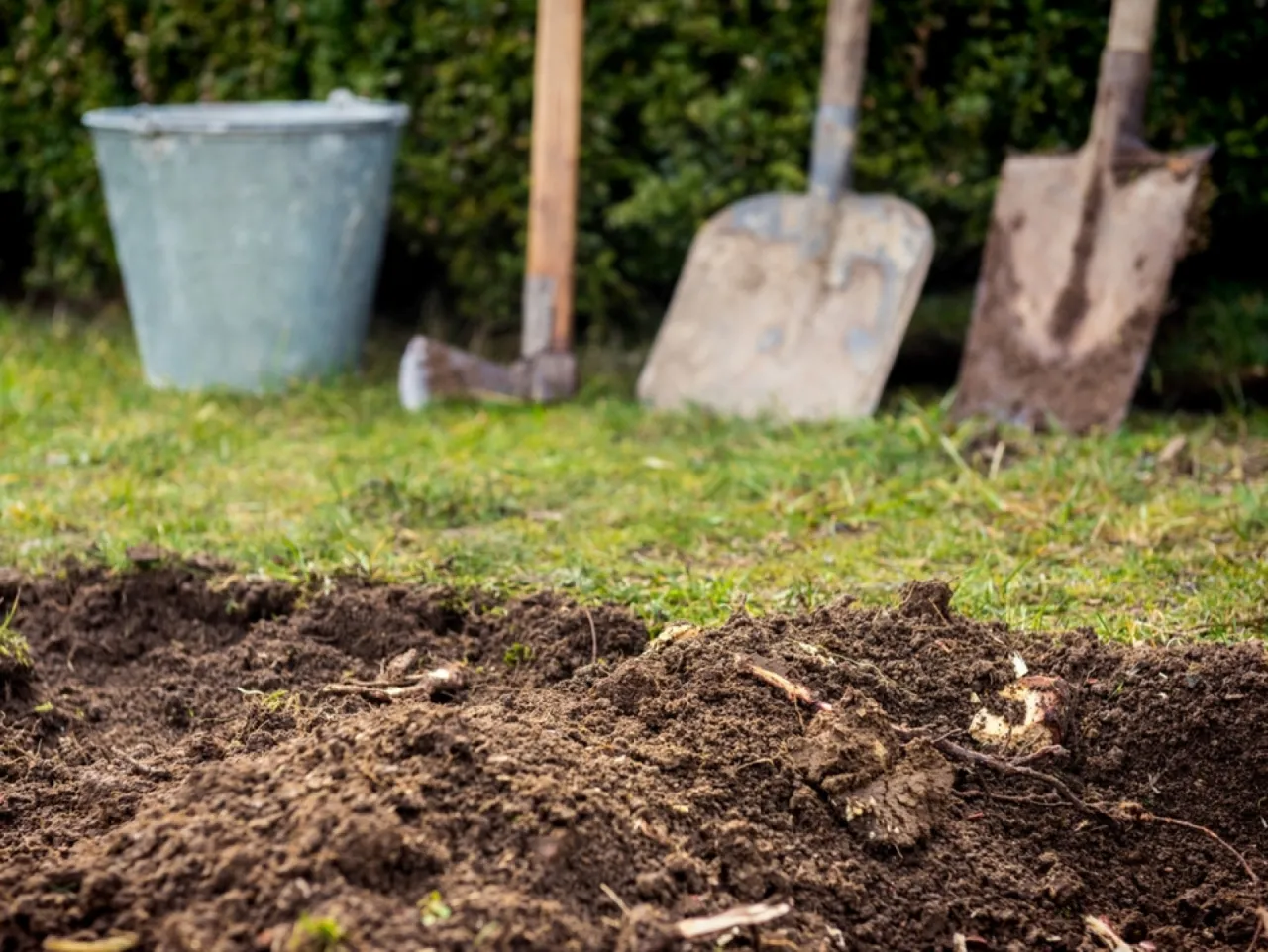 Przygotowanie terenu pod trawnik: łopaty, siekiera i wiadro czekają na ziemię. Ile ziemi pod trawnik na m2?