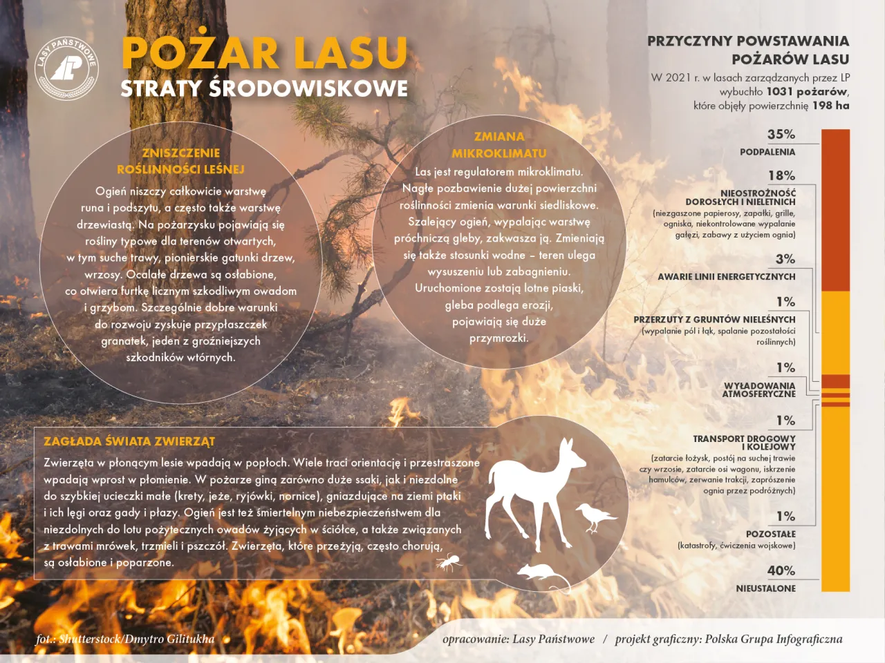 Osoba oceniająca kierunek wiatru w lesie podczas pożaru