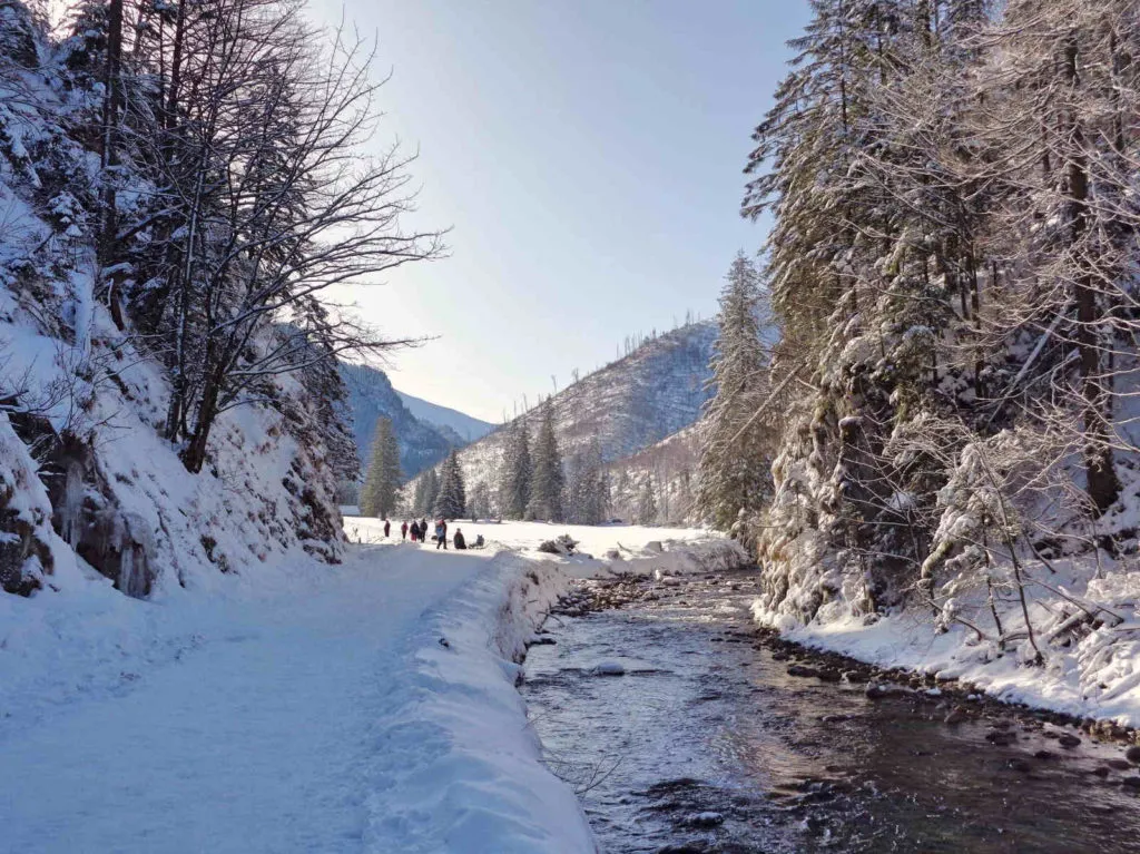 Zimowy szlak Dolina Kościeliska