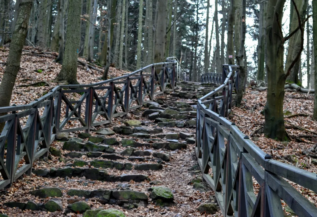 Góry Świętokrzyskie Łysica szlak