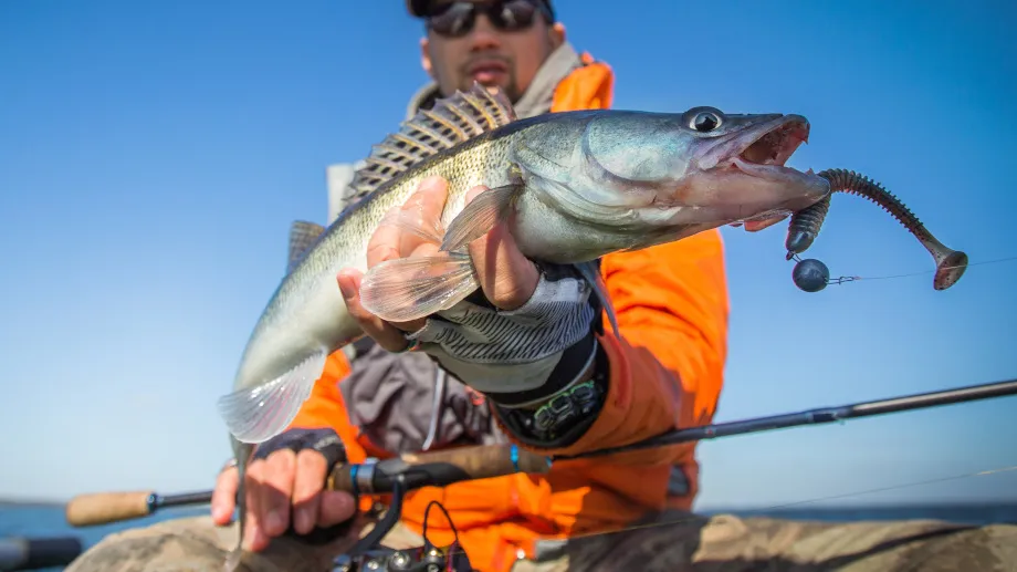 przynęty spinningowe na sandacza
