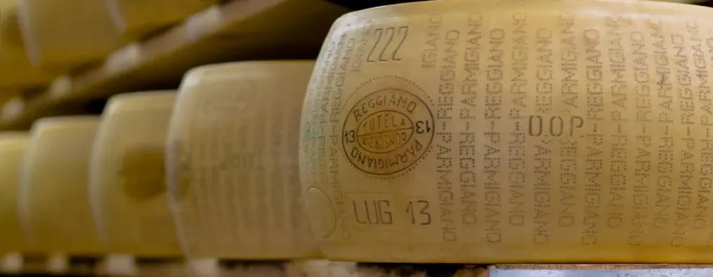 Oznakowanie sk&oacute;rki Parmigiano Reggiano