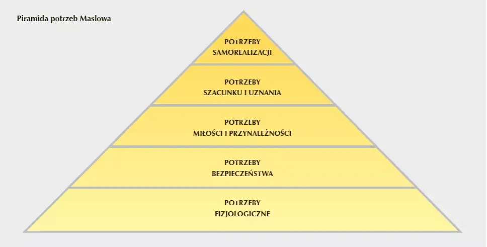 Zdjęcie Jakie są potrzeby edukacyjne mojego dziecka i jak je zaspokoić?