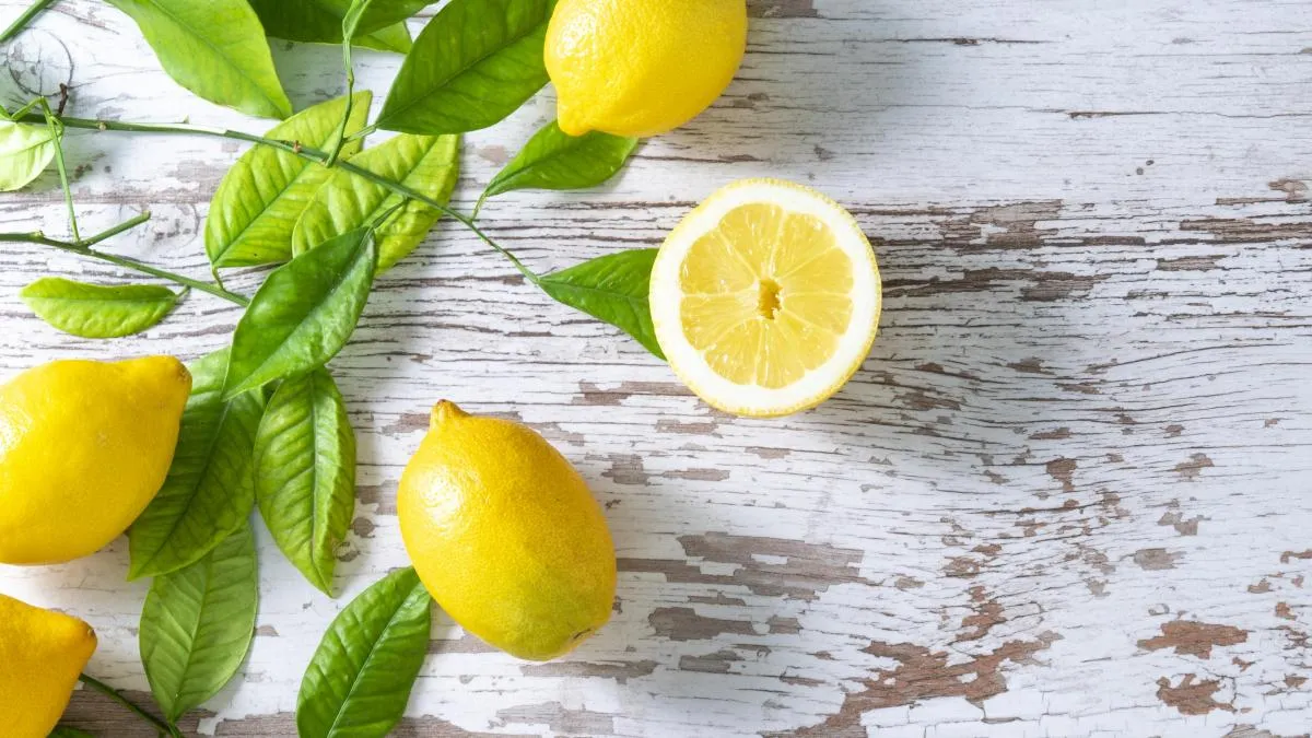 Zdjęcie Cómo cultivar árboles frutales en maceta y disfrutar de tus frutos