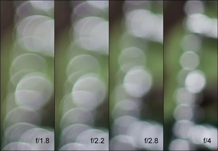 Canon EF 50mm f1.8 STM bokeh