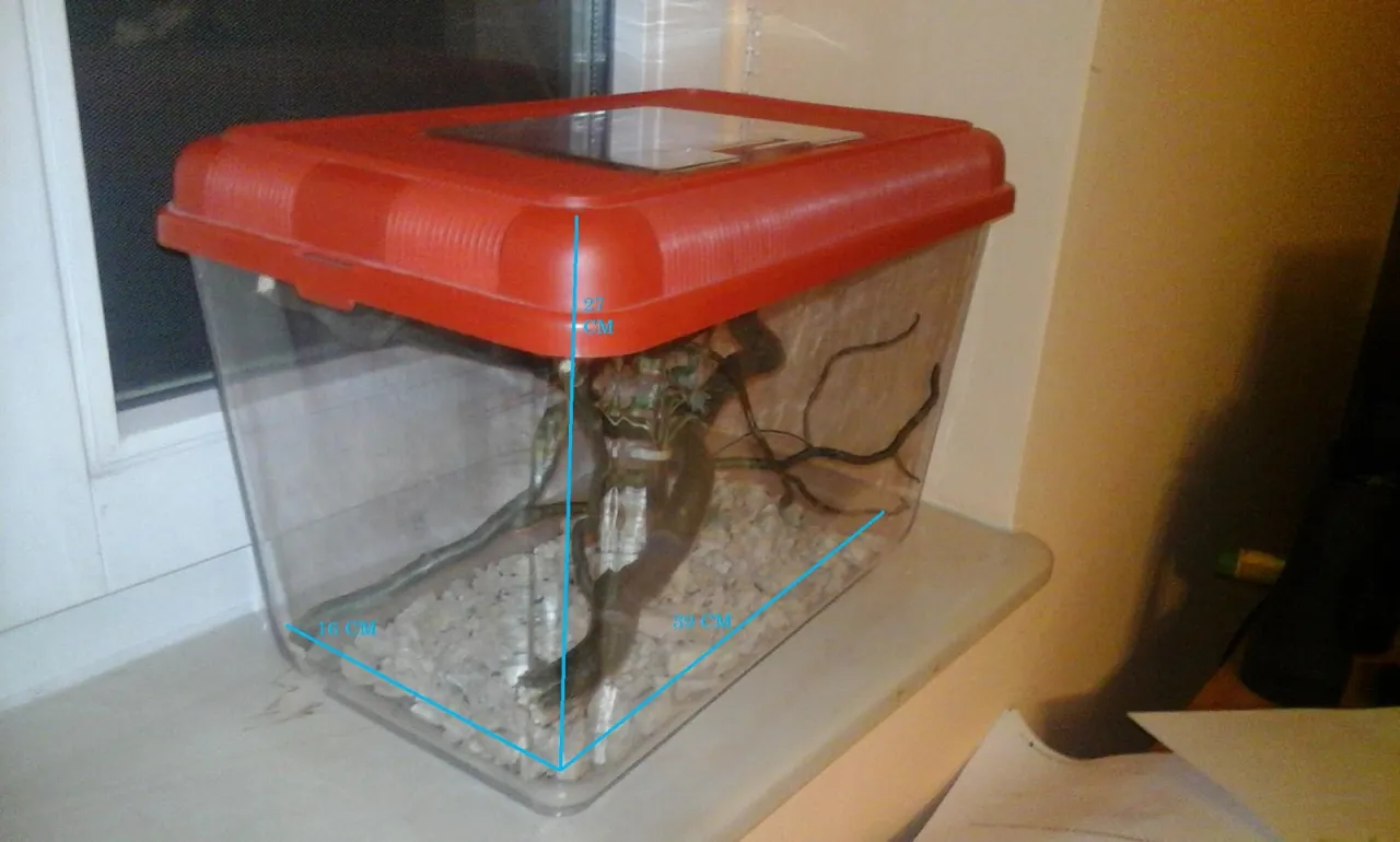 schemat wentylacji terrarium patyczaka