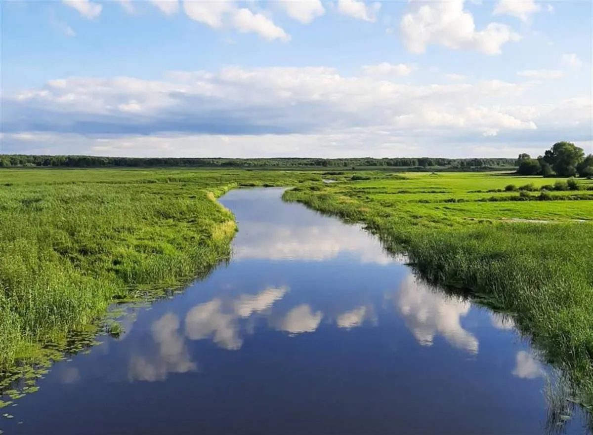 Rowerzysta na malowniczej trasie rowerowej na Mazowszu