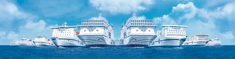 r&oacute;żne typy prom&oacute;w