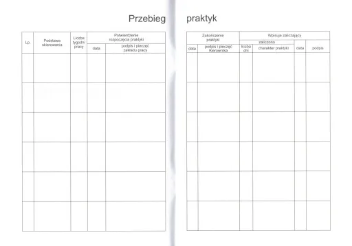 błędy w dzienniku praktyk