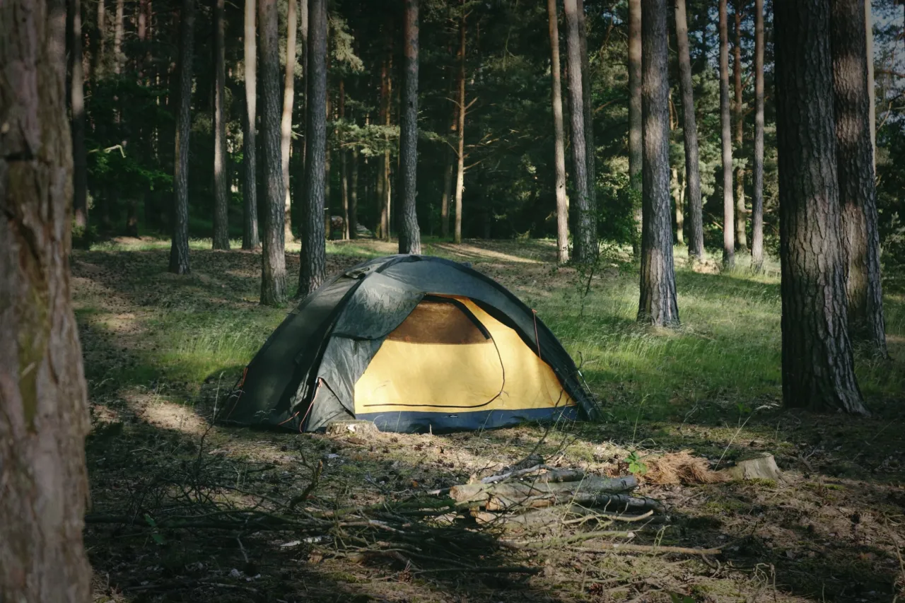 Rozłożony namiot w lesie, gotowy na nocleg. Proste instrukcje jak rozłożyć namiot pomogą Ci szybko przygotować schronienie.