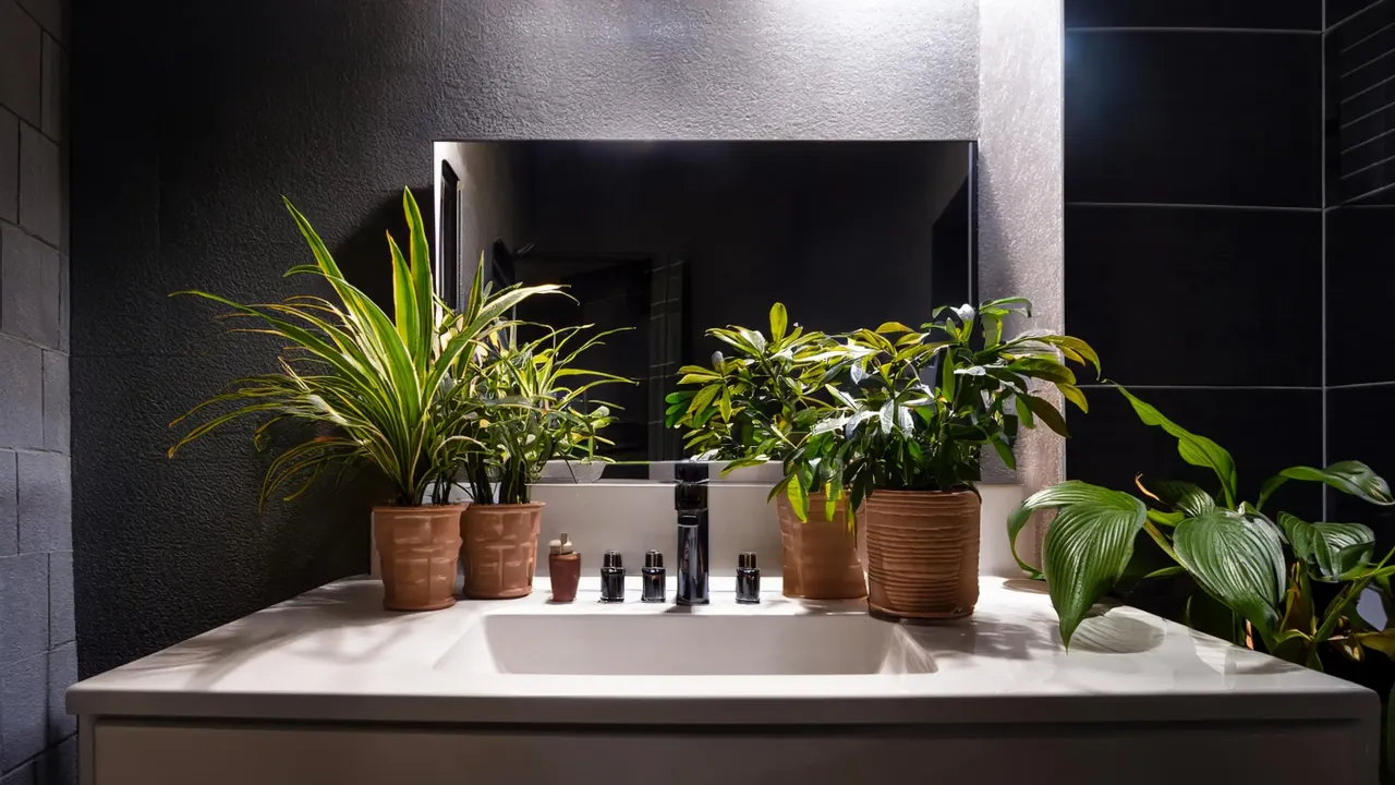 Pielęgnacja roślin w ciemnej łazience
