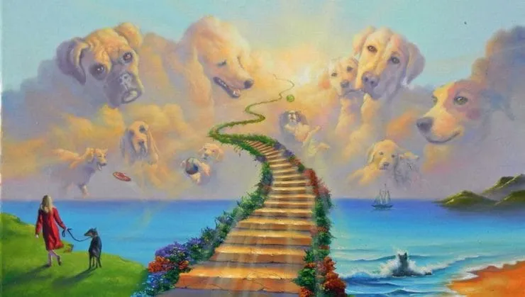 symboliczny tęczowy most dla zwierząt