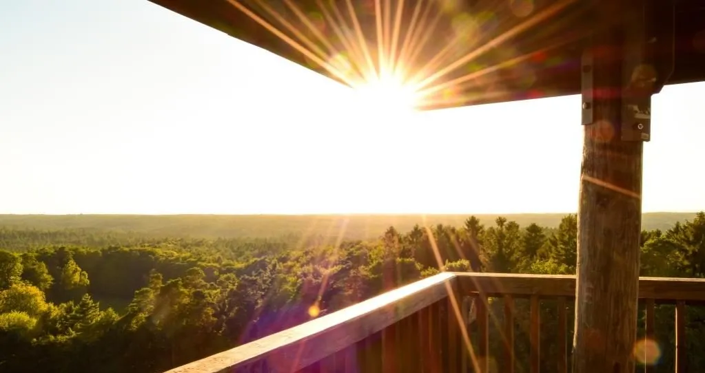 Elbblickturm Wildpark Schwarze Berge Aussicht