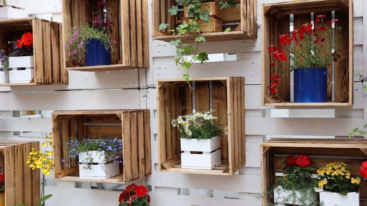 Inspiracja, jak zrobić kwietnik z palet: drewniane skrzynki z kolorowymi kwiatami tworzą zieloną ścianę.