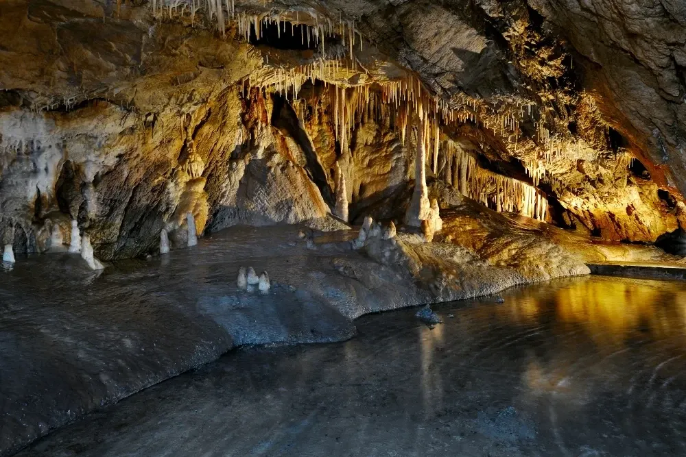 Zdjęcie Jaskinia Niedźwiedzia w Sudetach: najważniejsze informacje dla turystów