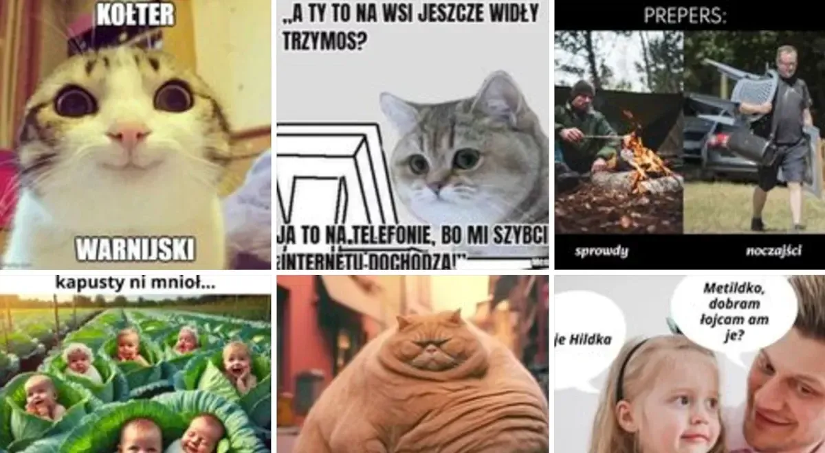 mem internetowy polski