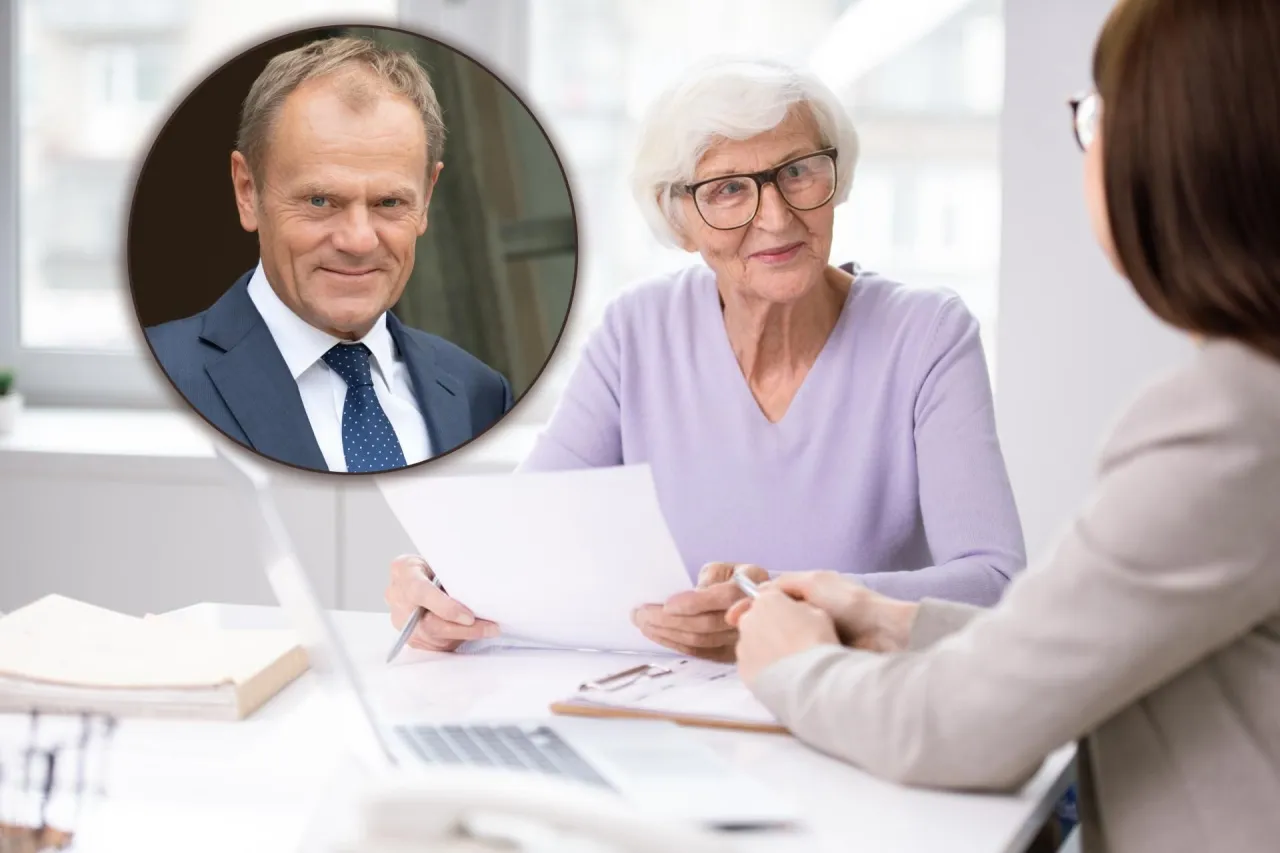 Grupa senior&oacute;w, r&oacute;żni emeryci, osoby pracujące na emeryturze