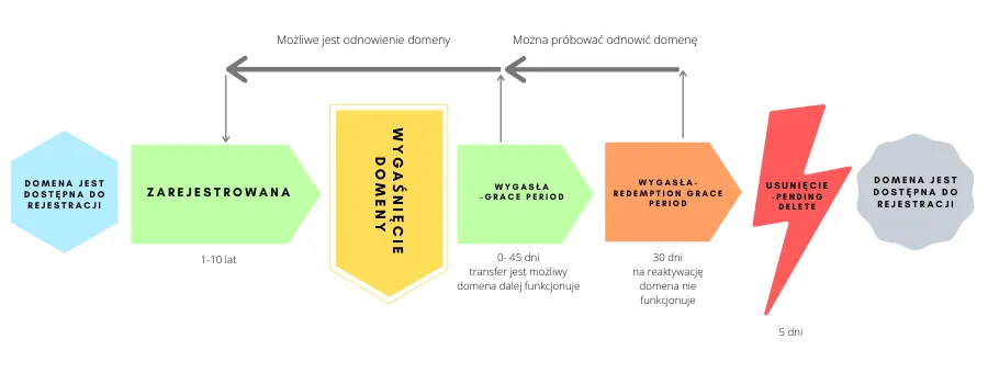 schemat transferu domeny