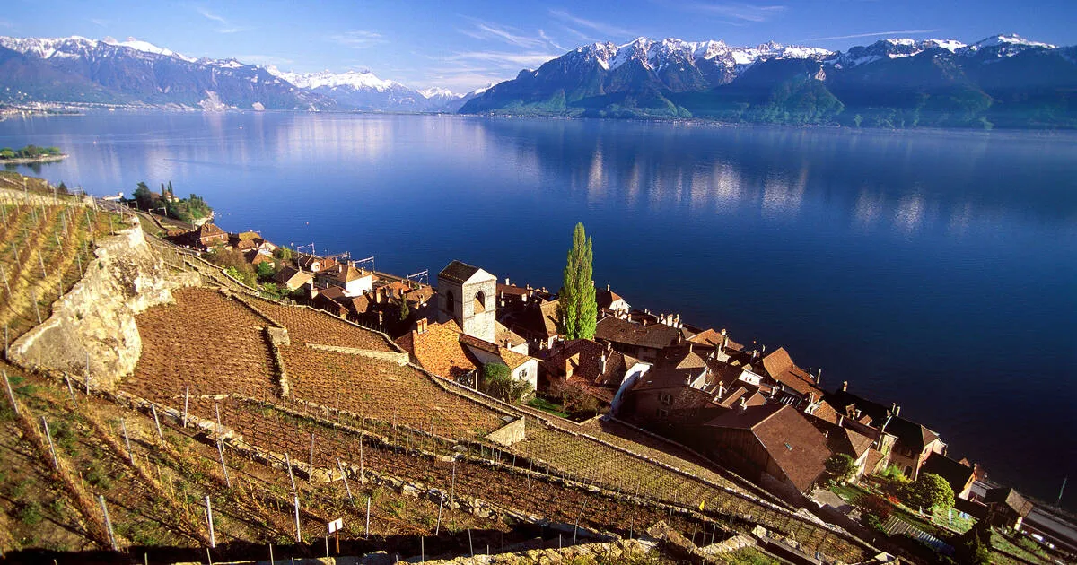 Tarasy winnic Lavaux UNESCO