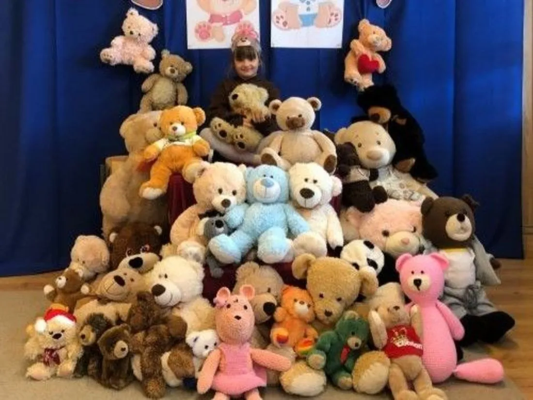 r&oacute;żne pluszowe misie w rzędzie