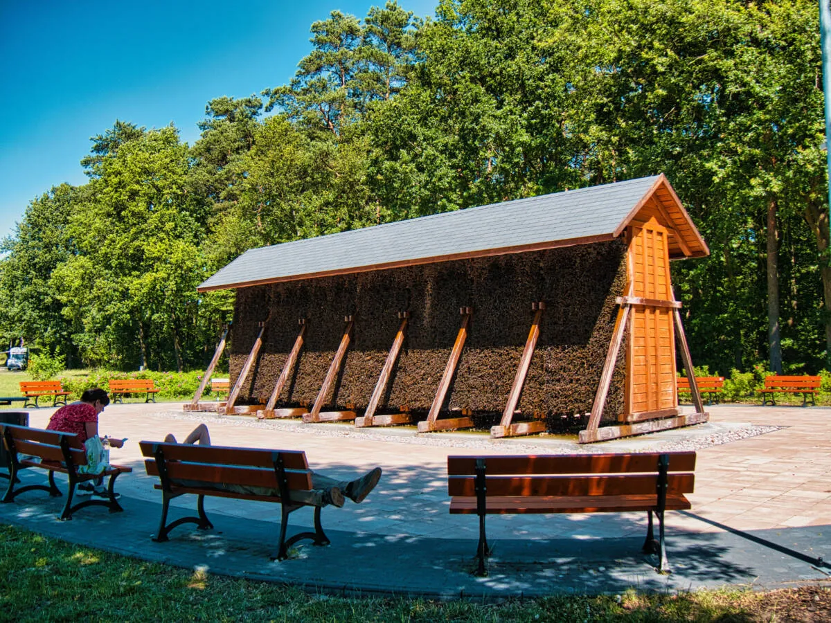 Myślęcinek Bydgoszcz atrakcje