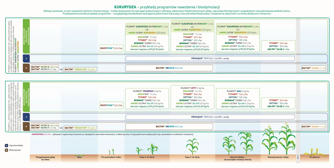 Schemat nawożenia kukurydzy: jakie nawozy pod kukurydzę forum? Prezentuje przykładowe programy nawożenia i biostymulacji dla kukurydzy, uwzględniające różne fazy wzrostu roślin.