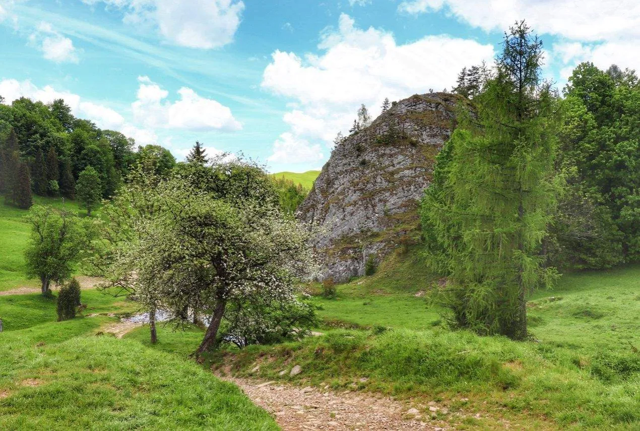 Bac&oacute;wka Biała Woda widok z zewnątrz Pieniny