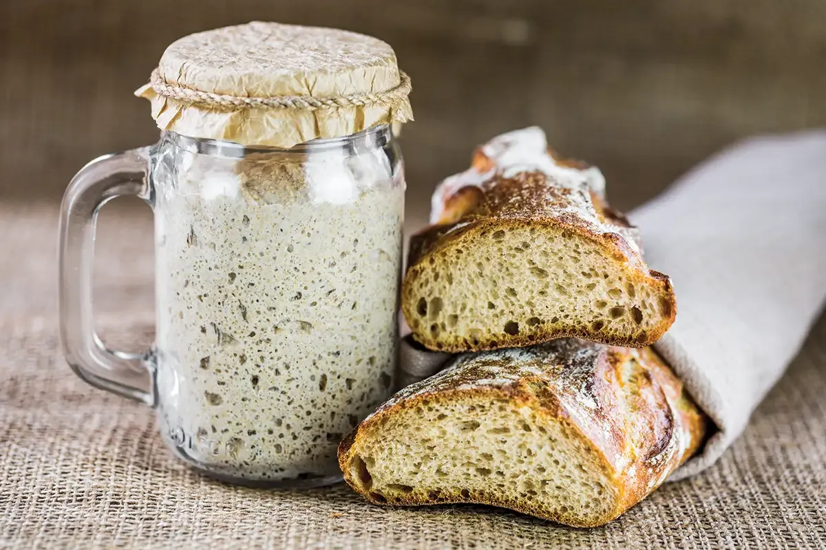 Factors affecting sourdough bread rise