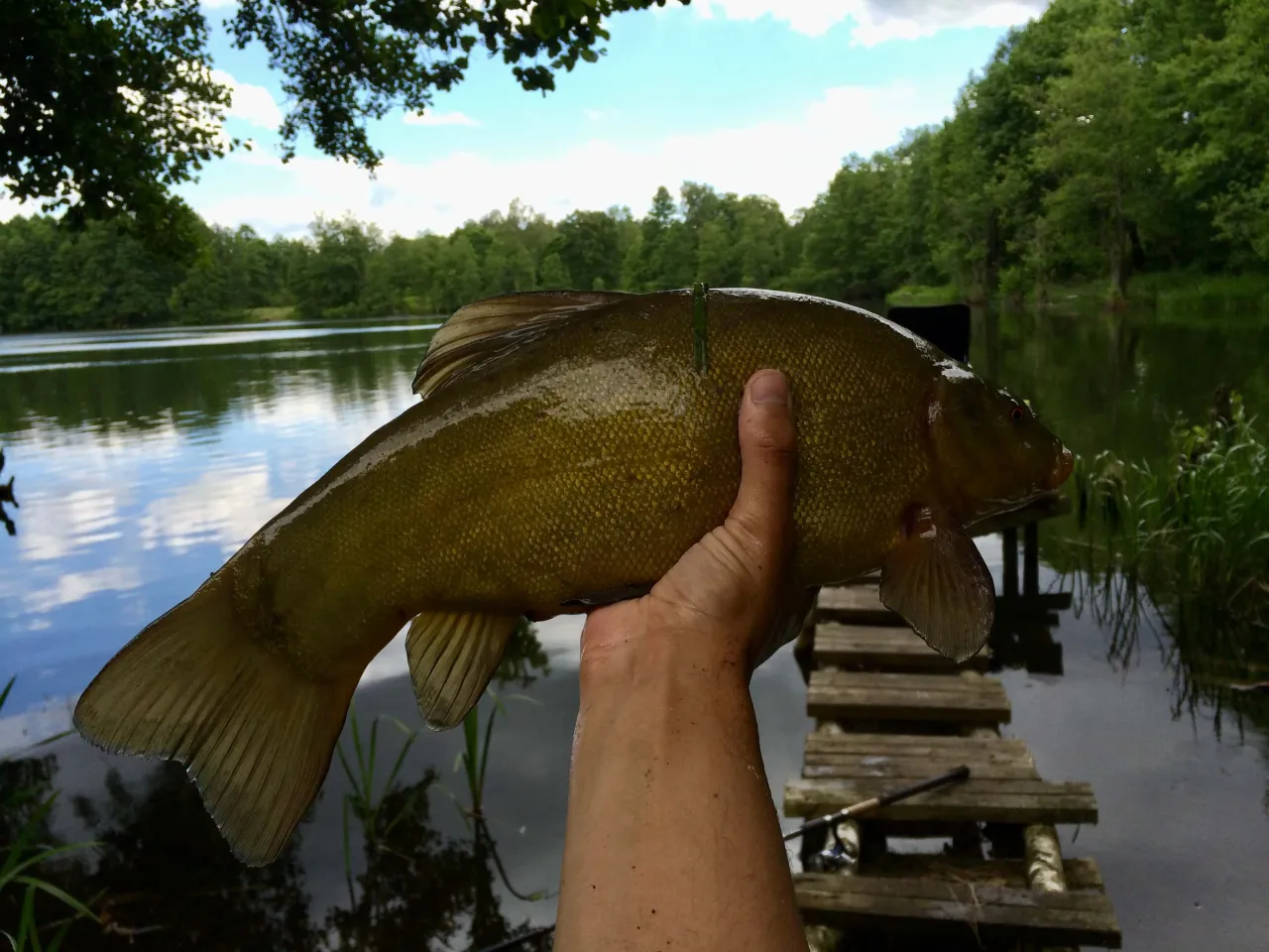 Składniki zanęty na lina