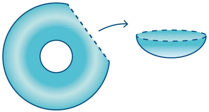 budowa soczewki torycznej schemat