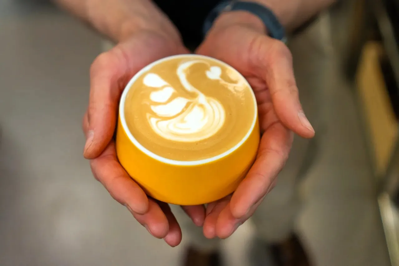 różne rodzaje kawy z mlekiem sojowym w filiżankach