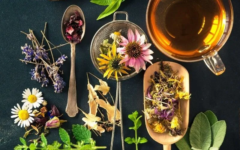 Zdjęcie Jakie zioła na powiększenie biustu? 7 naturalnych sposobów