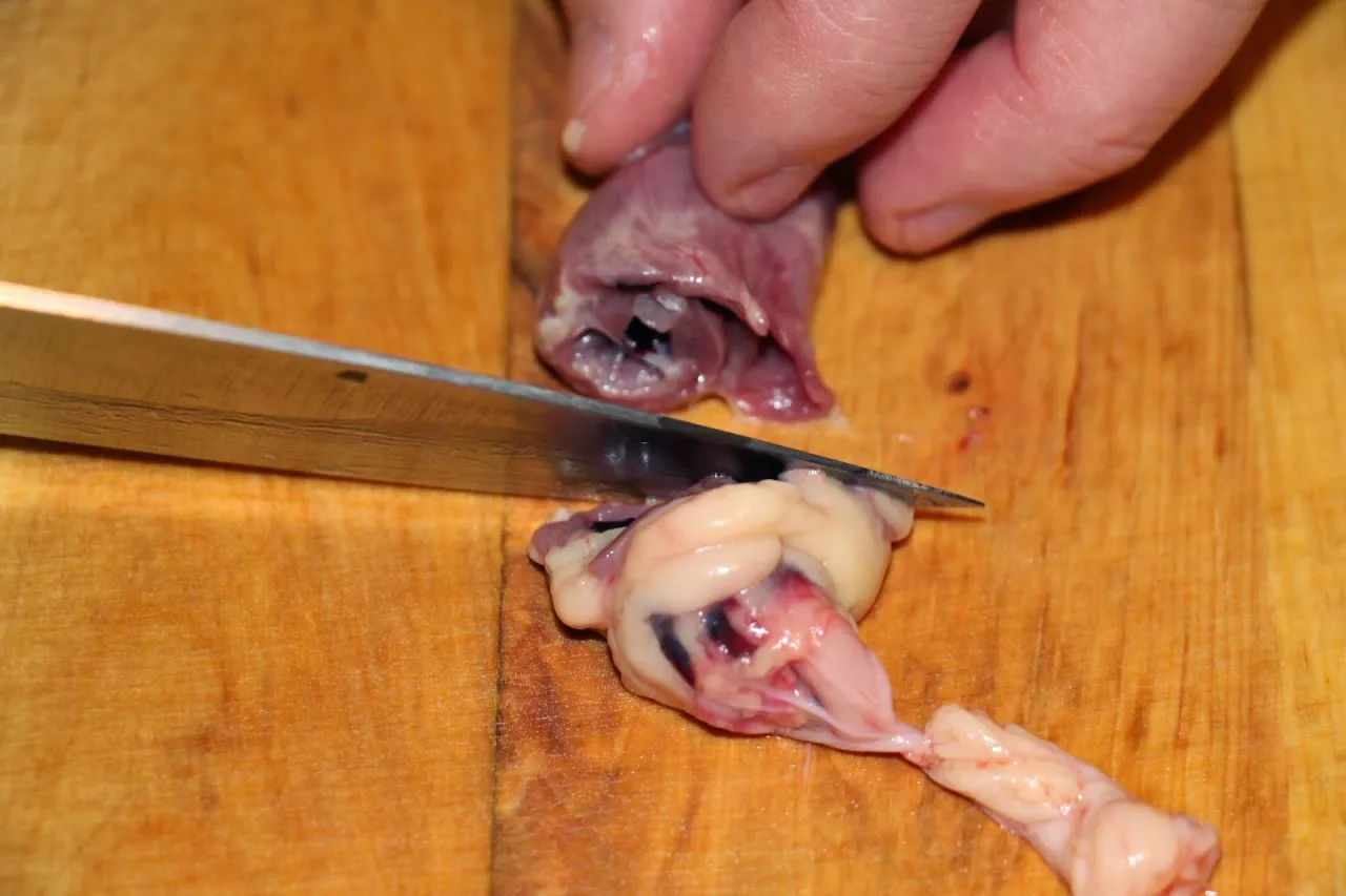 czyszczenie serc drobiowych