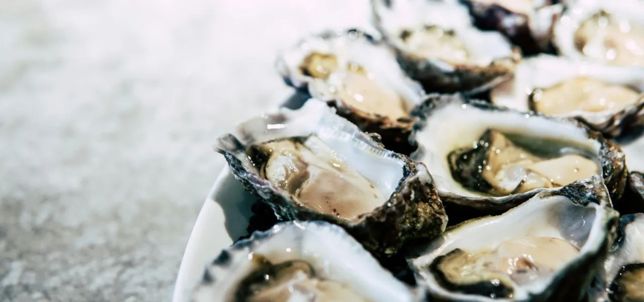 Świeże ostrygi, przyprawa uważana za afrodyzjak, ułożone na talerzu.