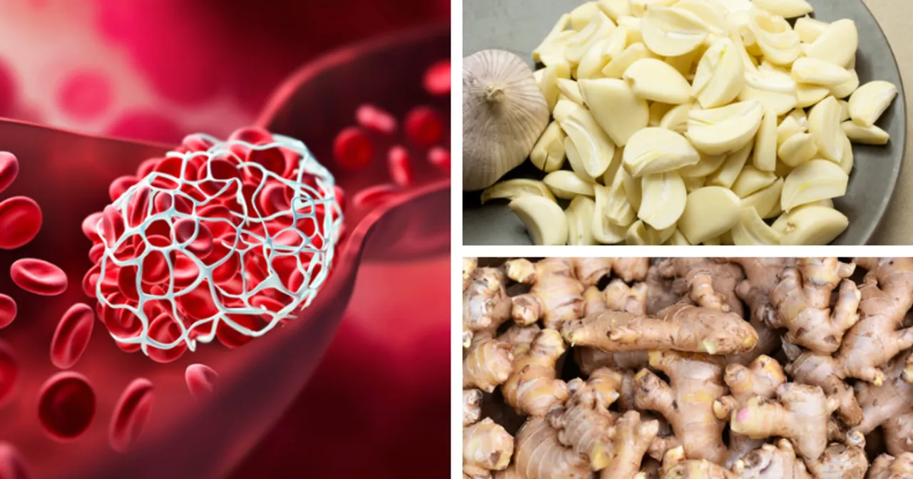 krew pod mikroskopem, zakrzepica, ciężkie nogi