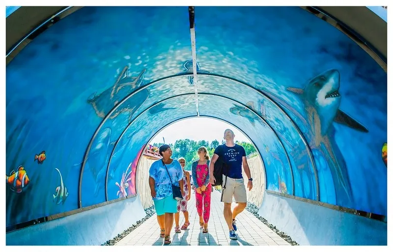 Władysławowo atrakcje dla dzieci