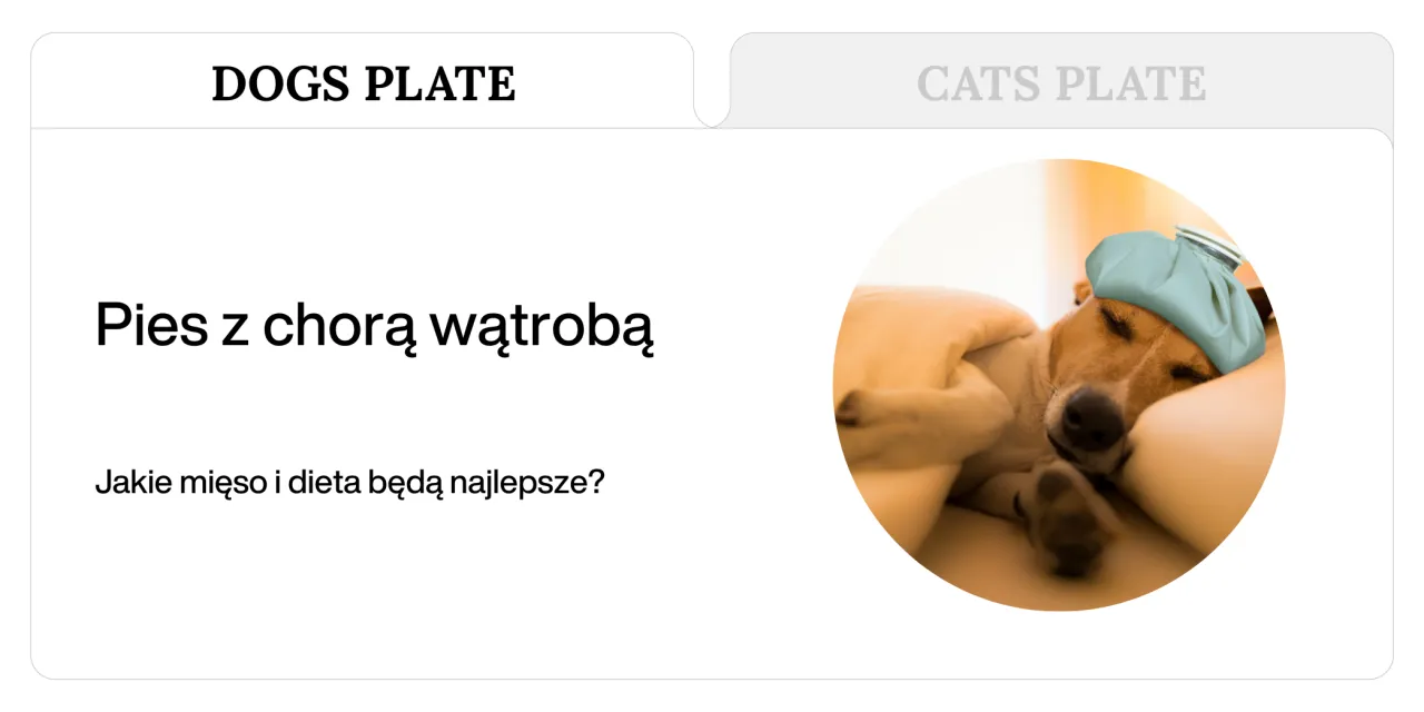 zasady diety wątrobowej dla psa