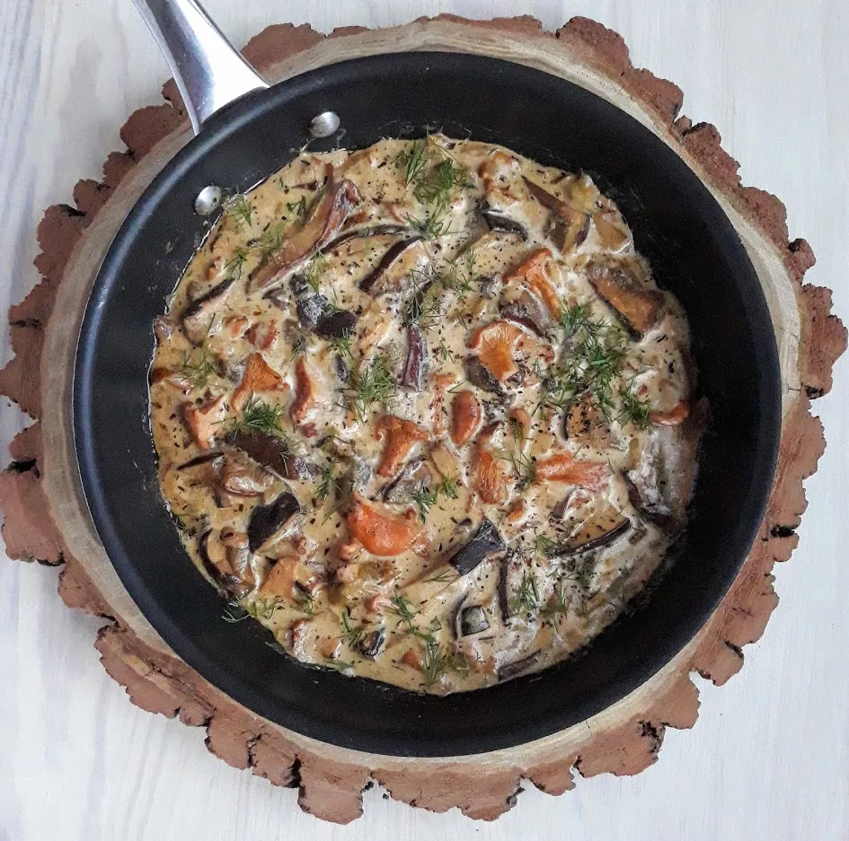 różne gatunki grzybów leśnych do sosu