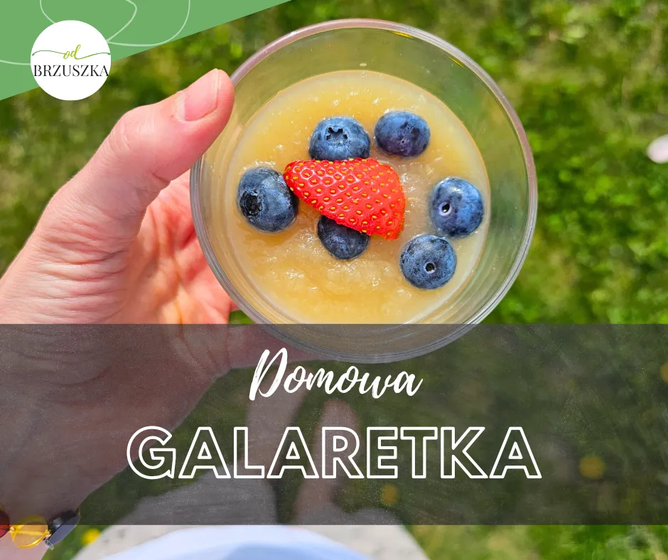 domowa galaretka owocowa dla niemowlaka w miseczce