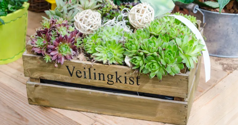 malowanie skrzynki na kwietnik style