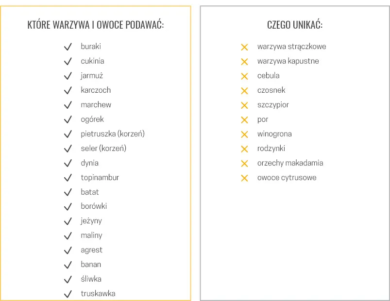 Zdjęcie Jakie warzywa dla szczeniaka są zdrowe i bezpieczne? Kluczowe informacje