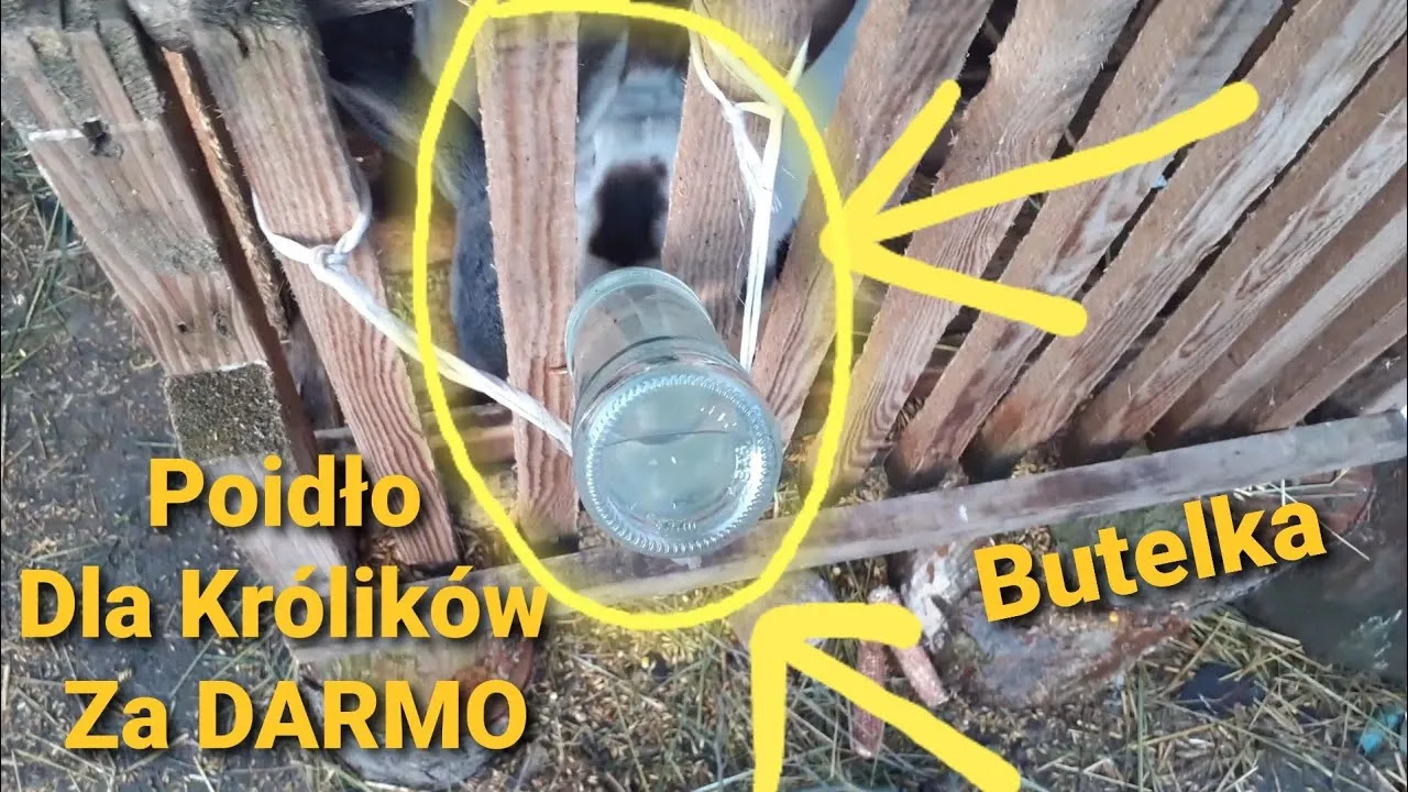 DIY poidło dla kr&oacute;lika z butelki materiały